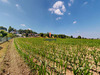 Ma-Cabane - Vente Terrain VIODOS-ABENSE-DE-BAS, 1853 m²