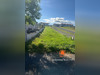 Ma-Cabane - Vente Terrain Vorey, 2043 m²