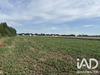 Ma-Cabane - Vente Terrain Vouzy, 2813 m²