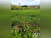 Ma-Cabane - Vente Terrain Vuillery, 1458 m²