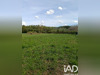 Ma-Cabane - Vente Terrain Vuillery, 1458 m²