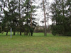 Ma-Cabane - Vente Terrain WASSELONNE, 2463 m²