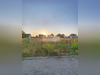 Ma-Cabane - Vente Terrain WEITBRUCH, 220 m²