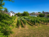 Ma-Cabane - Vente Terrain Wettolsheim, 1000 m²