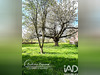Ma-Cabane - Vente Terrain Wizernes, 400 m²