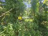 Ma-Cabane - Vente Terrain Wolxheim, 1059 m²