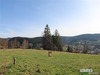 Ma-Cabane - Vente Terrain XONRUPT-LONGEMER, 667 m²