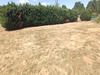 Ma-Cabane - Vente Terrain YVRE L EVEQUE, 828 m²