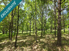 Ma-Cabane - Vente Terrain Yzeures-sur-Creuse, 4930 m²