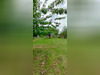 Ma-Cabane - Vente Terrain YZEURES-SUR-CREUSE, 700 m²