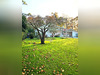Ma-Cabane - Vente Viager Biarritz, 82 m²