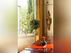 Ma-Cabane - Vente Viager Lyon, 252 m²