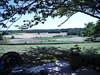 Ma-Cabane - Vente Viager Montpeyroux, 200 m²