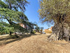 Ma-Cabane - Vente Viager Pia, 328 m²