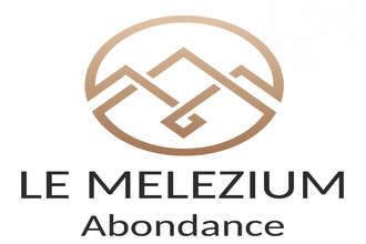 achat appartement abondance 74360