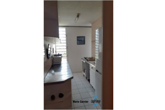 achat appartement abymes 97139