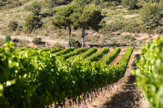 achat appartement aix-en-provence 13100