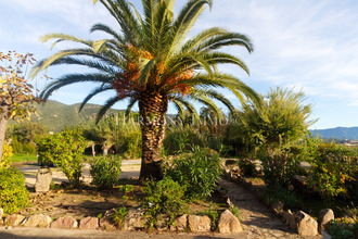 achat appartement ajaccio 20000