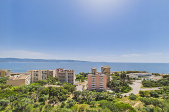 achat appartement ajaccio 20000