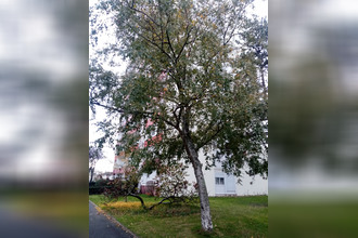 achat appartement angers 49000