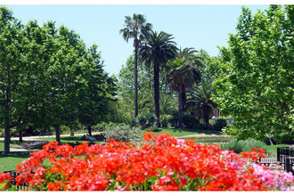 achat appartement antibes 06160