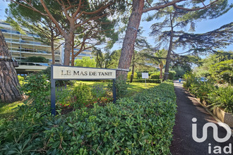 achat appartement antibes 06160