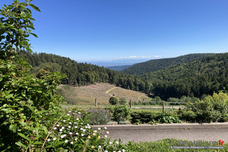 achat appartement aubure 68150