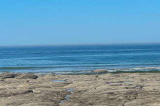 achat appartement audresselles 62164