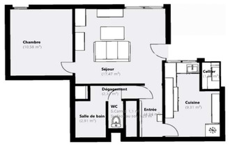 achat appartement avon 77210