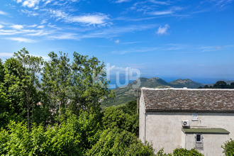 achat appartement barbaggio 20253