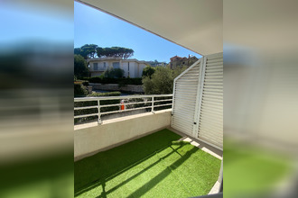 achat appartement bastia 20200