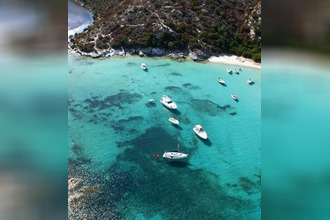 achat appartement bastia 20200