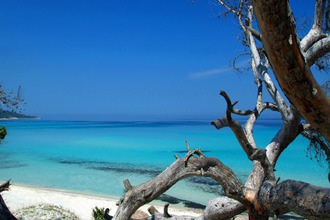 achat appartement bastia 20200