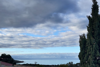 achat appartement belgodere 20226