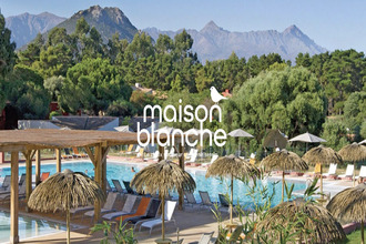 achat appartement belgodere 20226