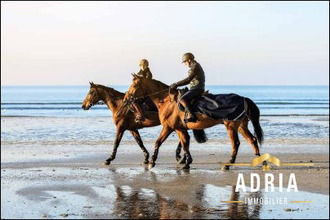 achat appartement benerville-sur-mer 14910