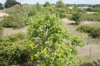 achat appartement blaye 33390