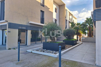 achat appartement borgo 20290