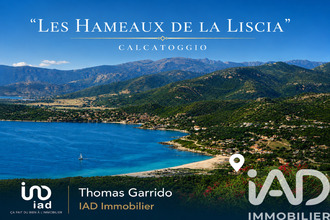 achat appartement calcatoggio 20111