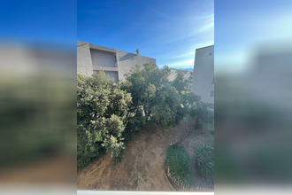 achat appartement calvi 20260