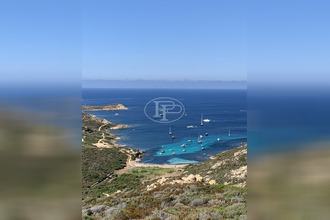 achat appartement calvi 20260