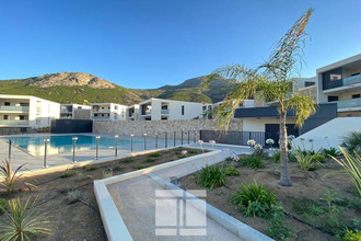 achat appartement calvi 20260