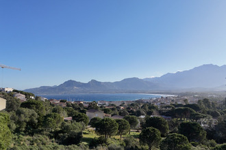 achat appartement calvi 20260