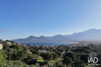 achat appartement calvi 20260
