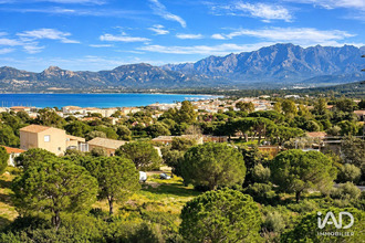 achat appartement calvi 20260