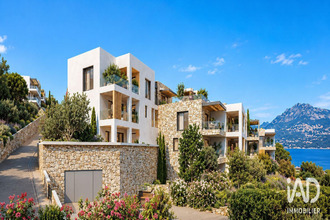 achat appartement calvi 20260