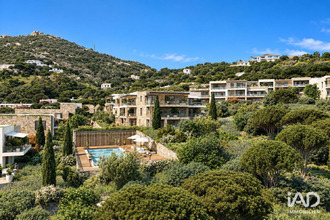 achat appartement calvi 20260