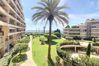 achat appartement cannes 06150