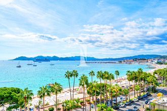 achat appartement cannes 06400
