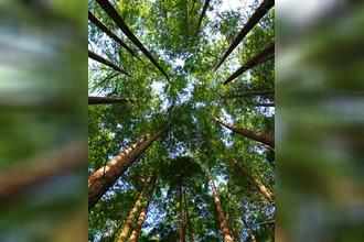 achat appartement capbreton 40130